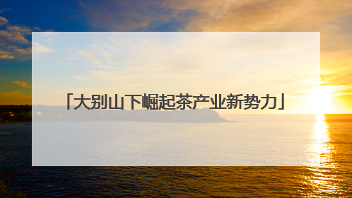 大别山下崛起茶产业新势力