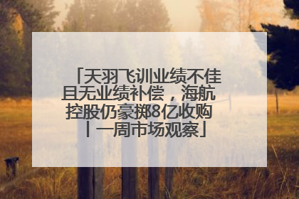 天羽飞训业绩不佳且无业绩补偿，海航控股仍豪掷8亿收购丨一周市场观察
