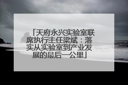 天府永兴实验室联席执行主任梁斌：落实从实验室到产业发展的最后一公里