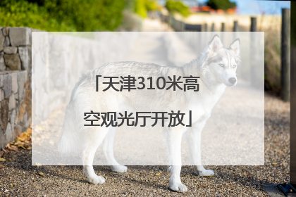 天津310米高空观光厅开放