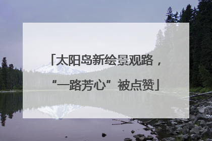 太阳岛新绘景观路，“一路芳心”被点赞