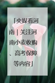 央媒看河南｜关注河南小麦收购、高考保障等内容