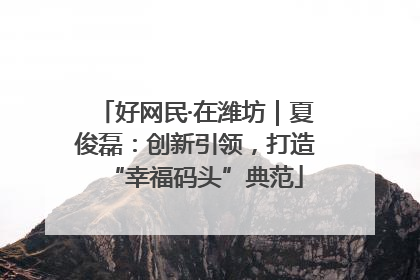 好网民·在潍坊｜夏俊磊：创新引领，打造“幸福码头”典范