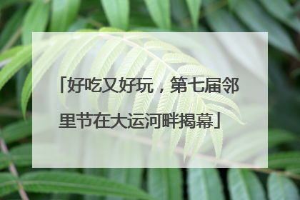 好吃又好玩，第七届邻里节在大运河畔揭幕