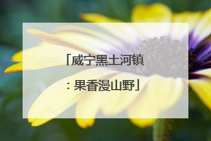 威宁黑土河镇：果香漫山野