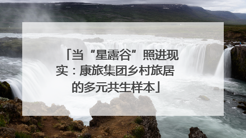 当“星露谷”照进现实：康旅集团乡村旅居的多元共生样本