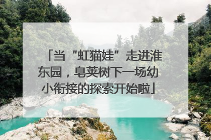 当“虹猫娃”走进淮东园，皂荚树下一场幼小衔接的探索开始啦