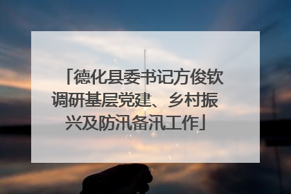 德化县委书记方俊钦调研基层党建、乡村振兴及防汛备汛工作