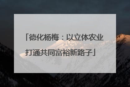 德化杨梅：以立体农业打通共同富裕新路子