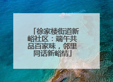 徐家楼街道新峪社区：端午共品百家味，邻里同话新峪情