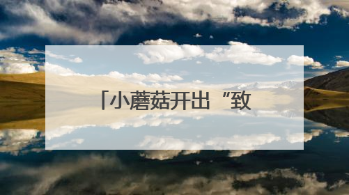 小蘑菇开出“致富伞”，撑起“致富半边天”