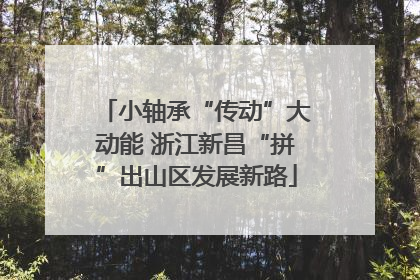 小轴承“传动”大动能 浙江新昌“拼”出山区发展新路