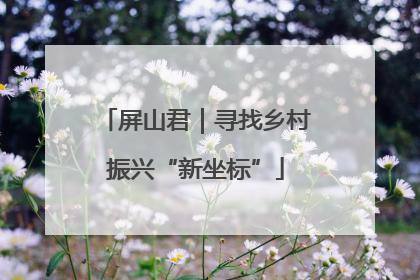 屏山君｜寻找乡村振兴“新坐标”