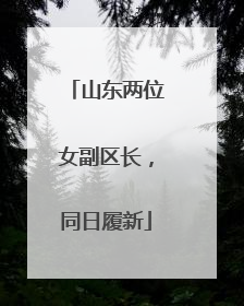 山东两位女副区长，同日履新