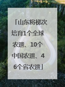 山东将梯次培育1个全球农遗、10个中国农遗、46个省农遗