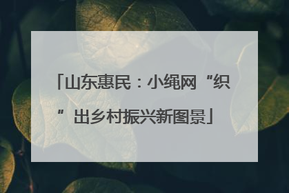 山东惠民：小绳网“织”出乡村振兴新图景