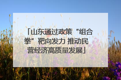 山东通过政策“组合拳”靶向发力 推动民营经济高质量发展