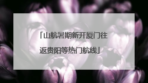 山航暑期新开厦门往返贵阳等热门航线