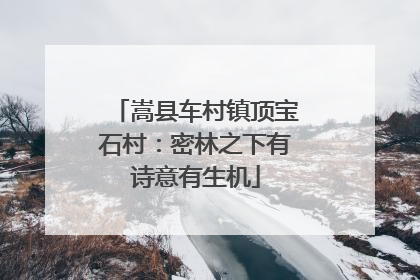 嵩县车村镇顶宝石村：密林之下有诗意有生机