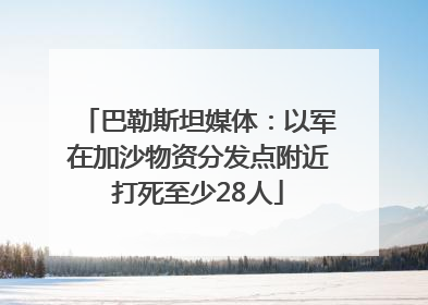 巴勒斯坦媒体：以军在加沙物资分发点附近打死至少28人