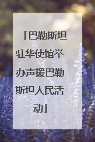 巴勒斯坦驻华使馆举办声援巴勒斯坦人民活动