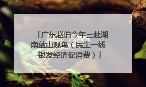 广东赵伯今年三赴湖南蓝山观鸟（民生一线·银发经济促消费）