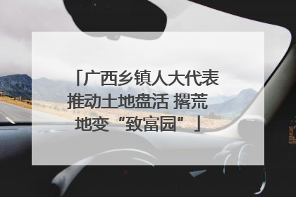 广西乡镇人大代表推动土地盘活 撂荒地变“致富园”