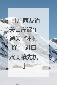 广西友谊关口岸端午通关“不打烊” 进口水果抢先机
