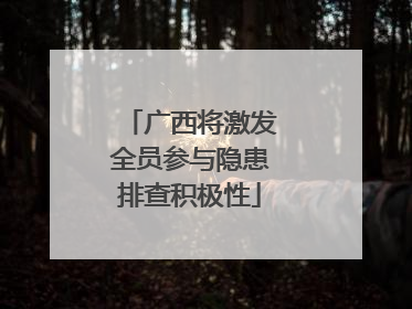 广西将激发全员参与隐患排查积极性