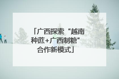 广西探索“越南种蔗+广西制糖”合作新模式