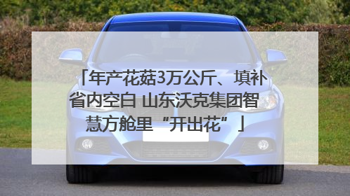 年产花菇3万公斤、填补省内空白 山东沃克集团智慧方舱里“开出花”
