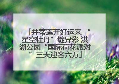 并蒂莲开好运来 “星空牡丹”绽异彩 洪湖公园“国际荷花派对”三天迎客六万