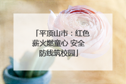 平顶山市：红色薪火燃童心 安全防线筑校园