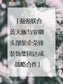强强联合 蓝天豚与安徽头部装企荣锋装饰集团达成战略合作