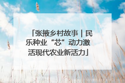张掖乡村故事｜民乐种业“芯”动力激活现代农业新活力
