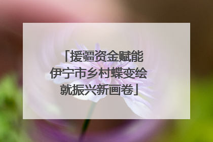 援疆资金赋能 伊宁市乡村蝶变绘就振兴新画卷