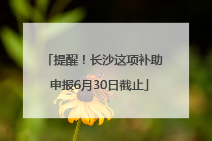 提醒！长沙这项补助申报6月30日截止