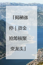 揭秘涨停｜资金抢筹核聚变龙头