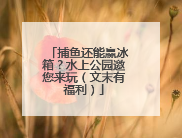 捕鱼还能赢冰箱？水上公园邀您来玩（文末有福利）