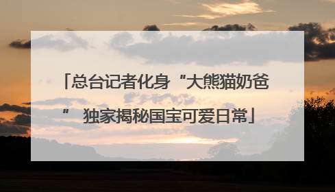 总台记者化身“大熊猫奶爸” 独家揭秘国宝可爱日常