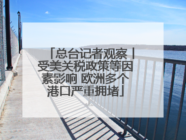 总台记者观察丨受美关税政策等因素影响 欧洲多个港口严重拥堵