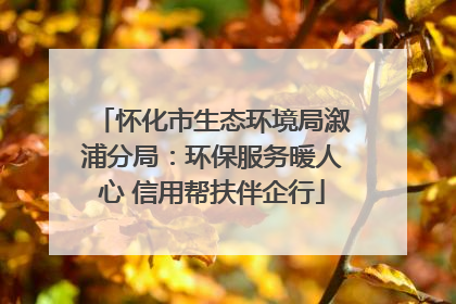 怀化市生态环境局溆浦分局：环保服务暖人心 信用帮扶伴企行