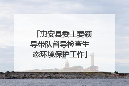 惠安县委主要领导带队督导检查生态环境保护工作