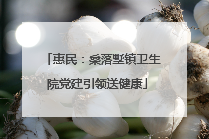 惠民：桑落墅镇卫生院党建引领送健康