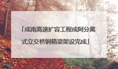 成南高速扩容工程成阿分离式立交桥钢箱梁架设完成