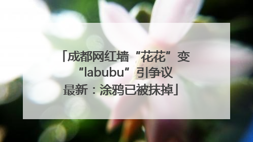 成都网红墙“花花”变“labubu”引争议 最新：涂鸦已被抹掉