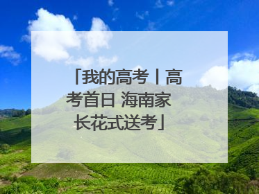 我的高考丨高考首日 海南家长花式送考