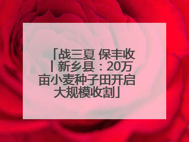 战三夏 保丰收丨新乡县：20万亩小麦种子田开启大规模收割