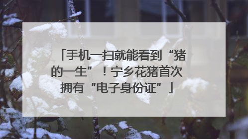 手机一扫就能看到“猪的一生”！宁乡花猪首次拥有“电子身份证”