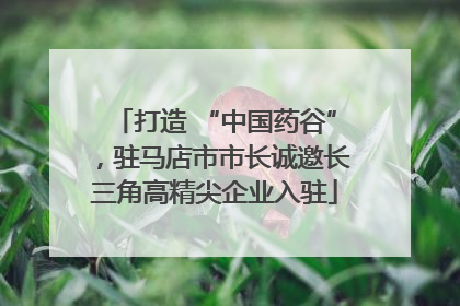 打造 “中国药谷”，驻马店市市长诚邀长三角高精尖企业入驻